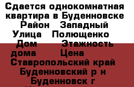 Сдается однокомнатная квартира в Буденновске › Район ­ Западный › Улица ­ Полющенко › Дом ­ 7 › Этажность дома ­ 5 › Цена ­ 9 000 - Ставропольский край, Буденновский р-н, Буденновск г. Недвижимость » Квартиры аренда   . Ставропольский край